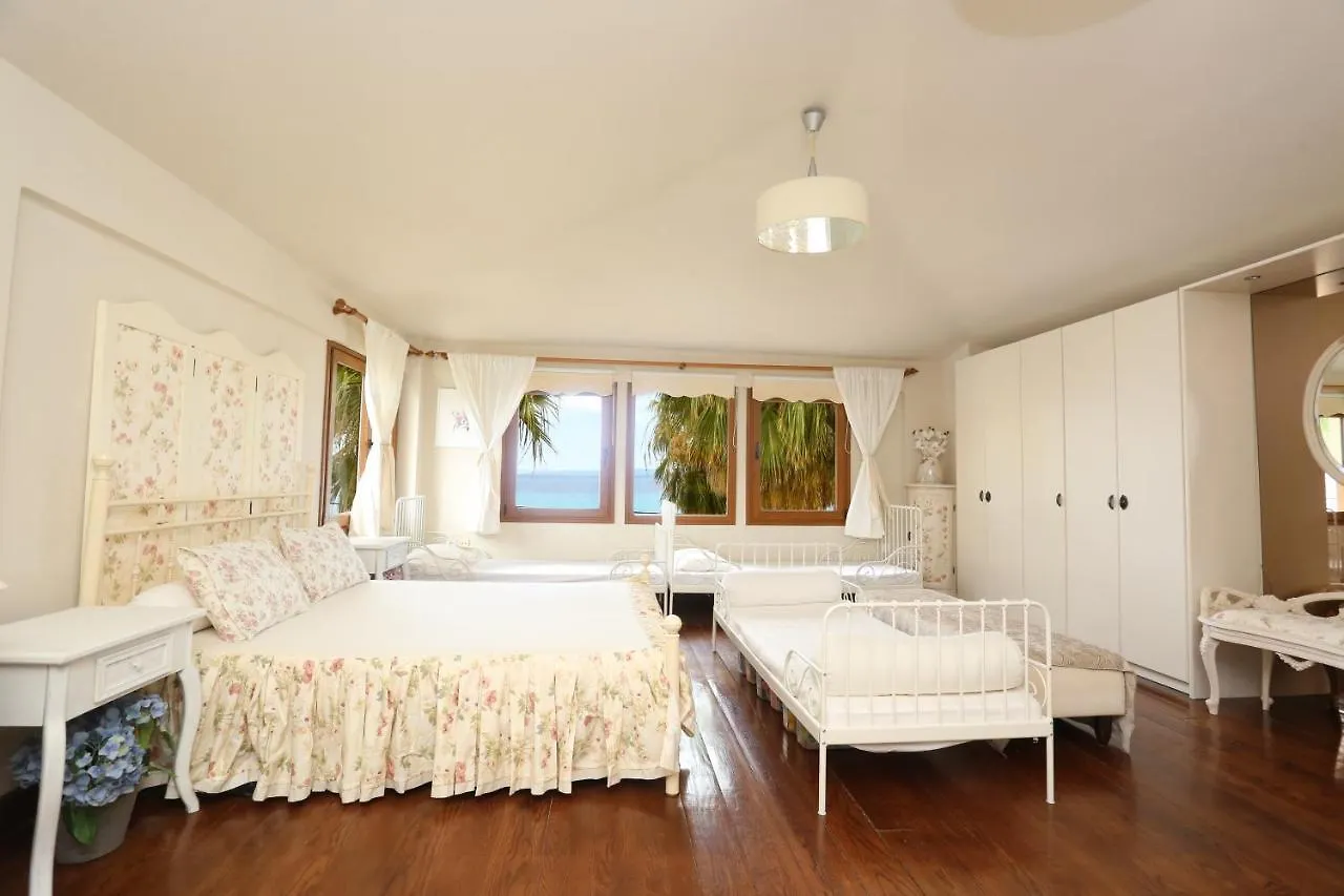 Villa Mare Blu - Beachfront, Panoramic View, Garden Pefkochori 0*,